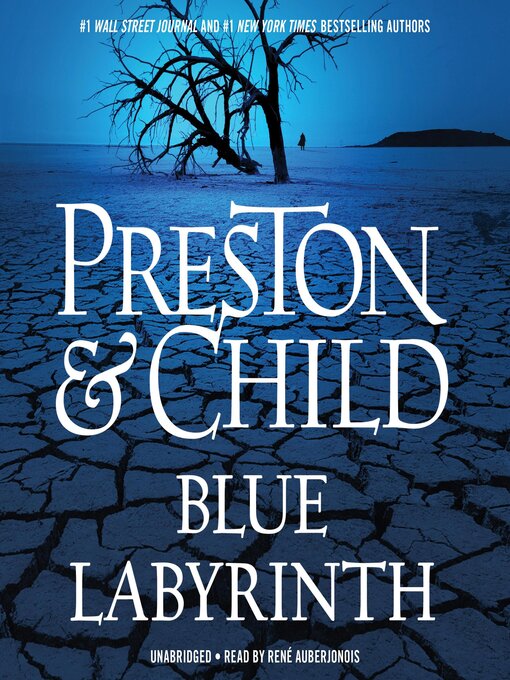 Cover image for Blue Labyrinth